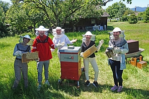 Gruppenfoto Bienenkasten - Karl Knauer: Azubis ernten Lohn für Umweltprojekt