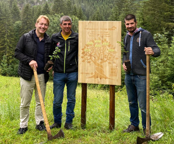 mitraco baum - Mitraco: Baumpflanzaktion in Tirol