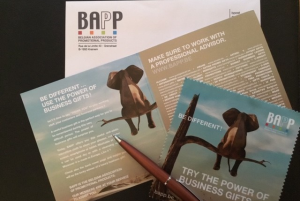 bapp v - BAPP initiiert Marketingkampagne